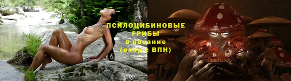 дмт Балахна